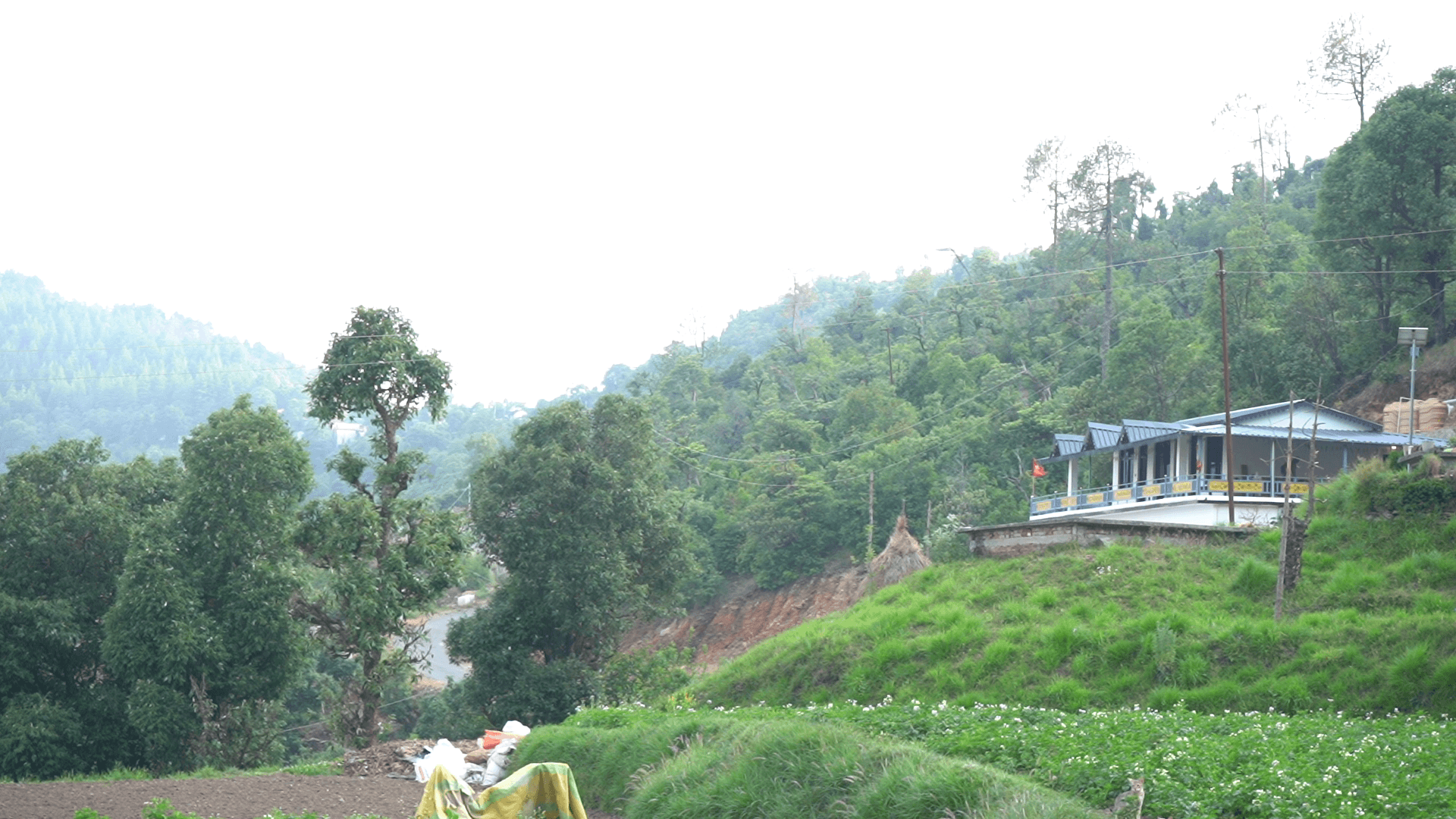 Himgiri Home Stay on a green hillside in Almora